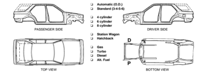 Image description of card body parts